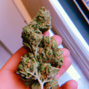 Guelph same-day weed delivery